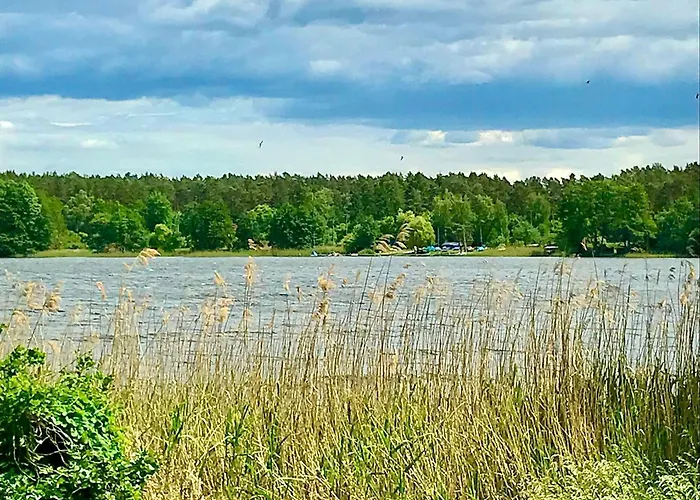 Finnhuette Seeblick An Der Elbe * Lenzen