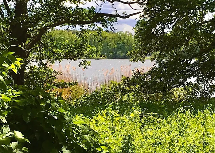 Finnhuette Seeblick An Der Elbe بيت للعطل *
