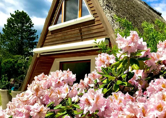 Finnhuette Seeblick An Der Elbe